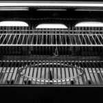 מעשנת פלט SmokeFire Ex6